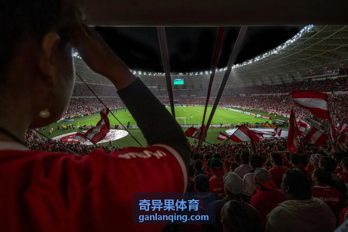 奇异果体育数据训练概念图